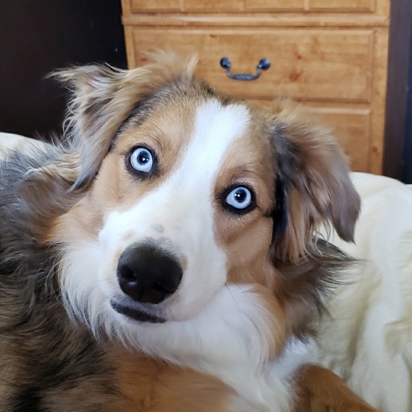 Meet your Posher, Sarah - Picture 1 of 1